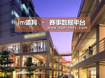 案例展示一(图1)