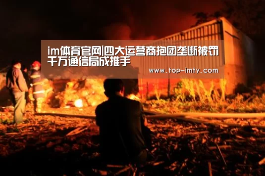 im体育官网|四大运营商抱团垄断被罚千万通信局成推手(图3) im体育平台