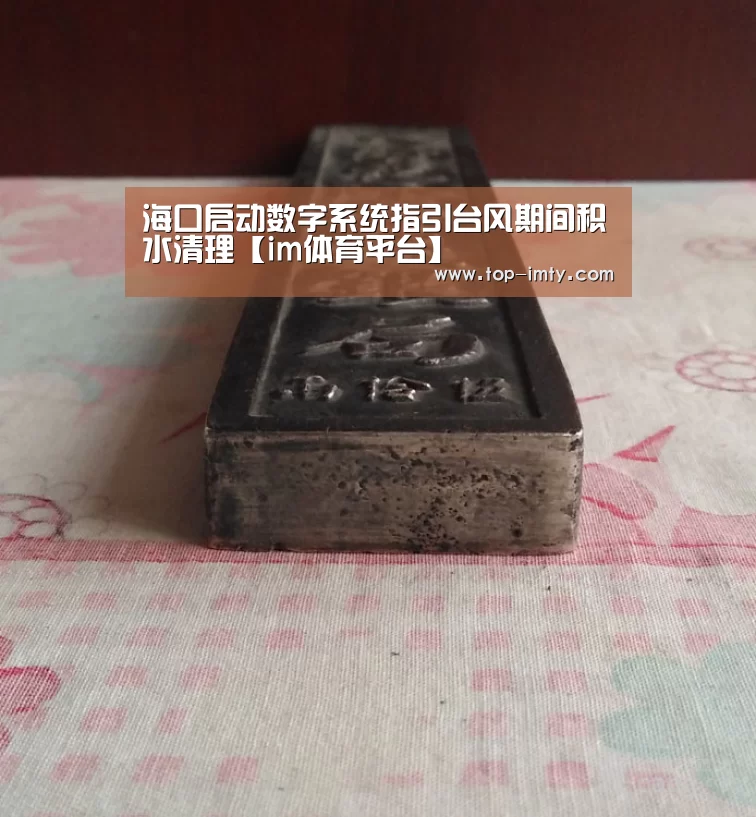 海口启动数字系统指引台风期间积水清理【im体育平台】(图4) im体育APP