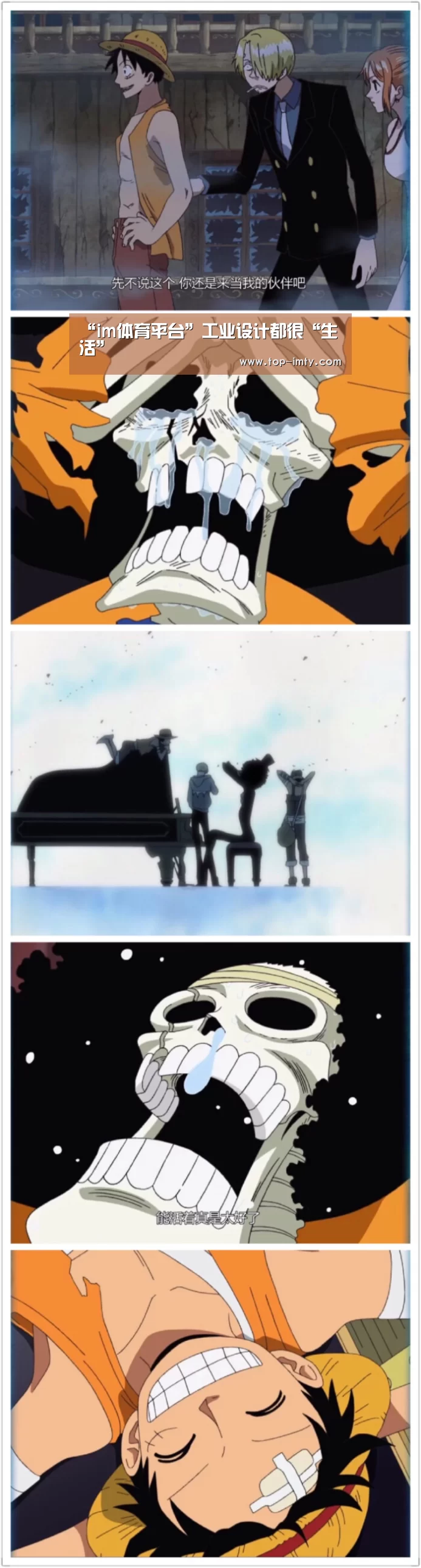 im体育平台
