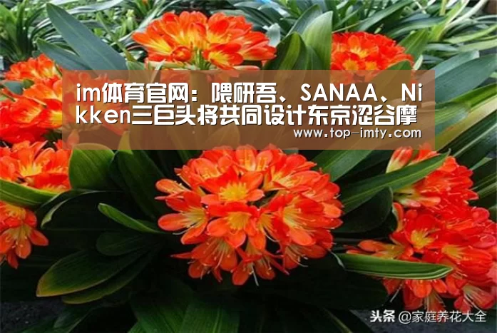 im体育官网:隈研吾、SANAA、Nikken三巨头将共同设计东京涩谷摩天大楼(图2) im体育投注
