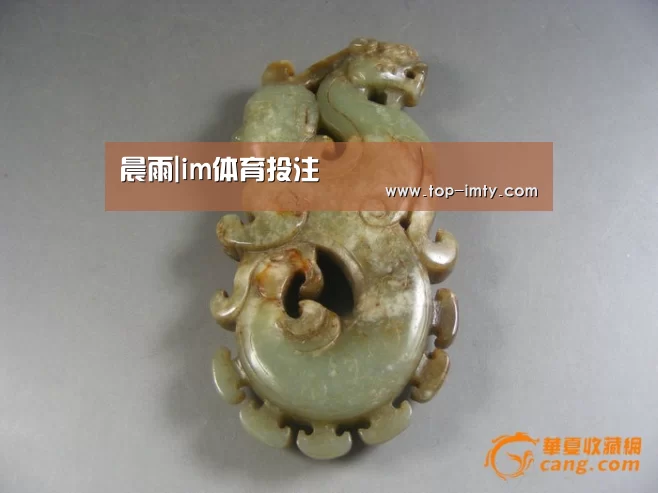 晨雨|im体育投注(图1) im体育投注