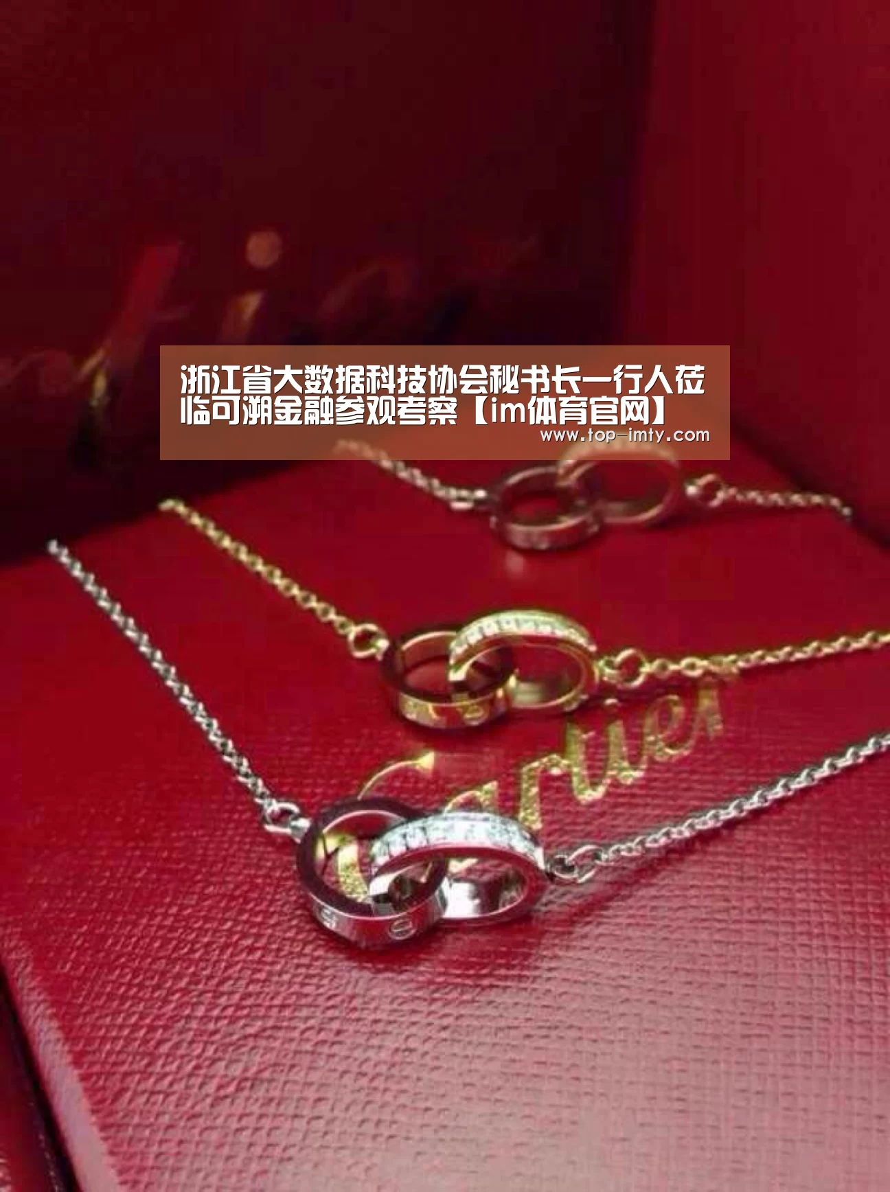 浙江省大数据科技协会秘书长一行人莅临可溯金融参观考察【im体育官网】(图2) im体育官网