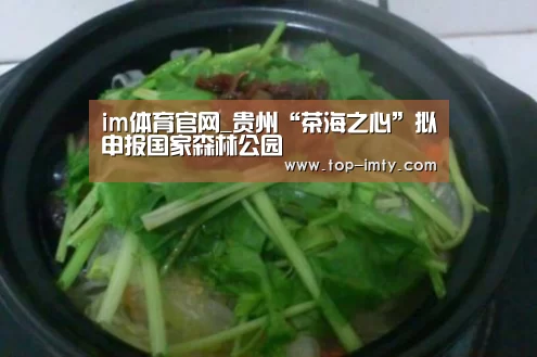 im体育官网_贵州“茶海之心”拟申报国家森林公园(图1) im体育官网